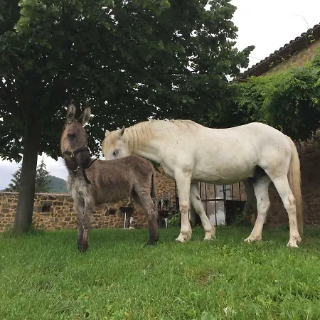 Country house Le Pre Des Taupes *